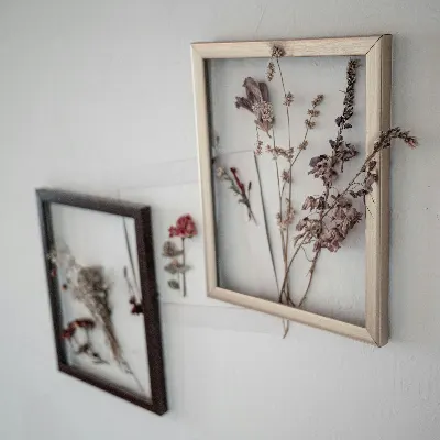 Glasram Herbarium