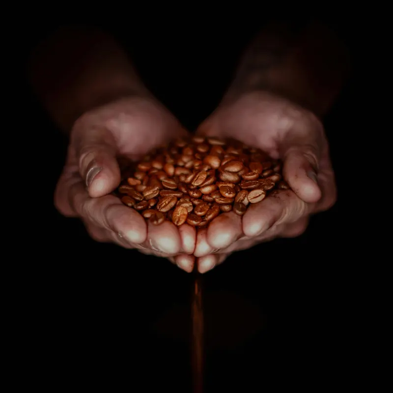 Etiopien Sidamo 250 g