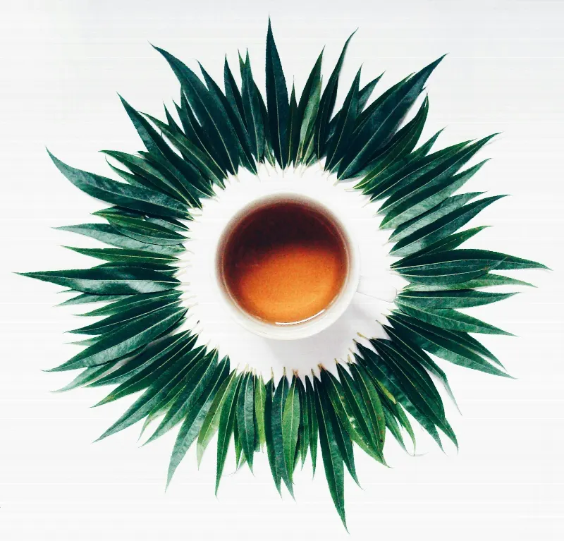 Grönt te Sencha 100 g